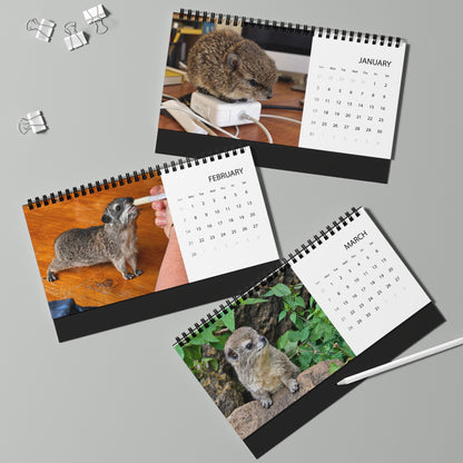 2027 Desktop Calendar - Cute Baby Hyrax Desk Grid Calendar