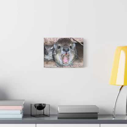 Hyrax Scream Print Wall Art, Matte Canvas Photo, Awawa Extreme, Unique Home Decor, Nature Lover Gift with animal photography, Wall Art for Animal Enthusiasts, Perfect for [...]