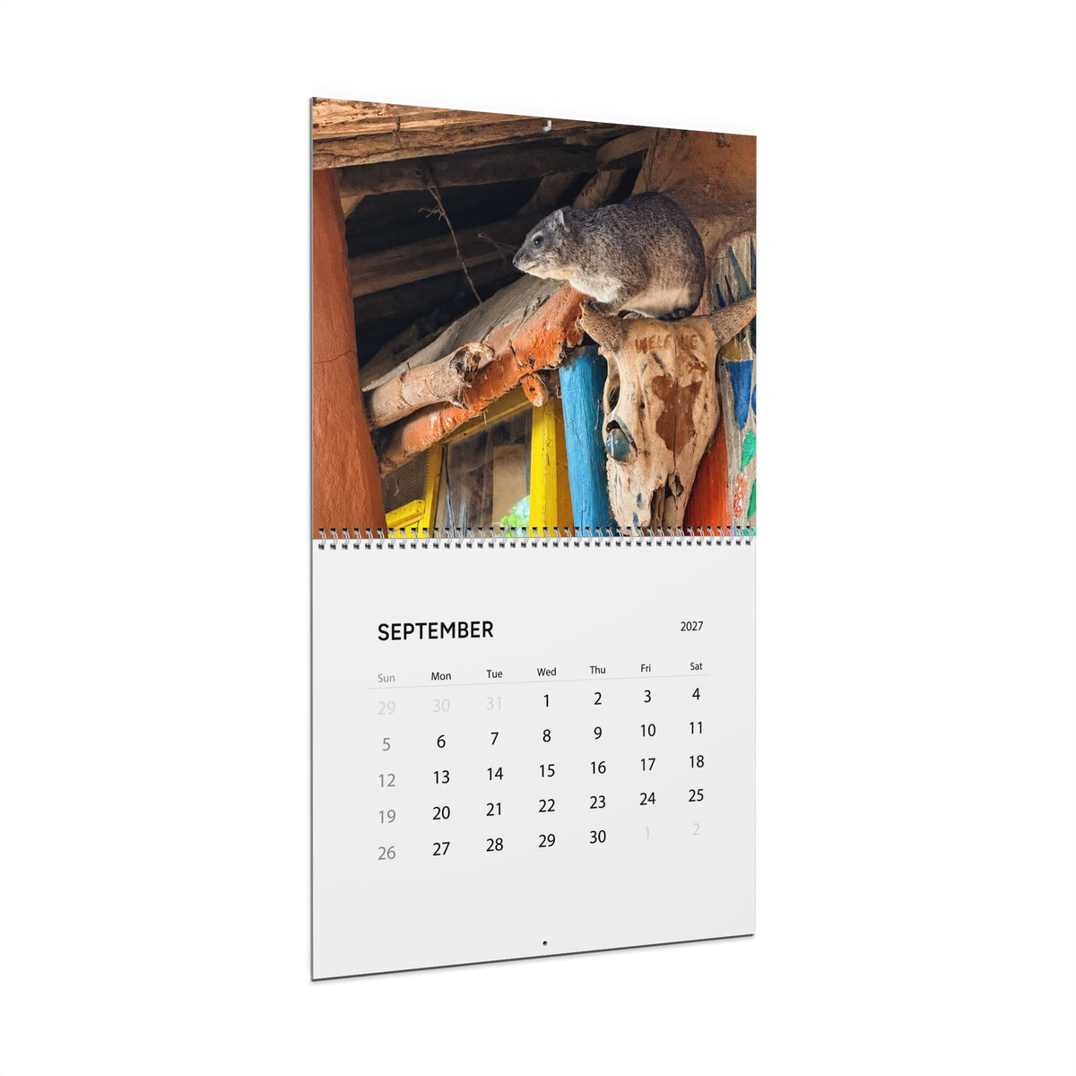 2027 Premium Wall Calendar – Adorable Hyrax Wildlife Photography