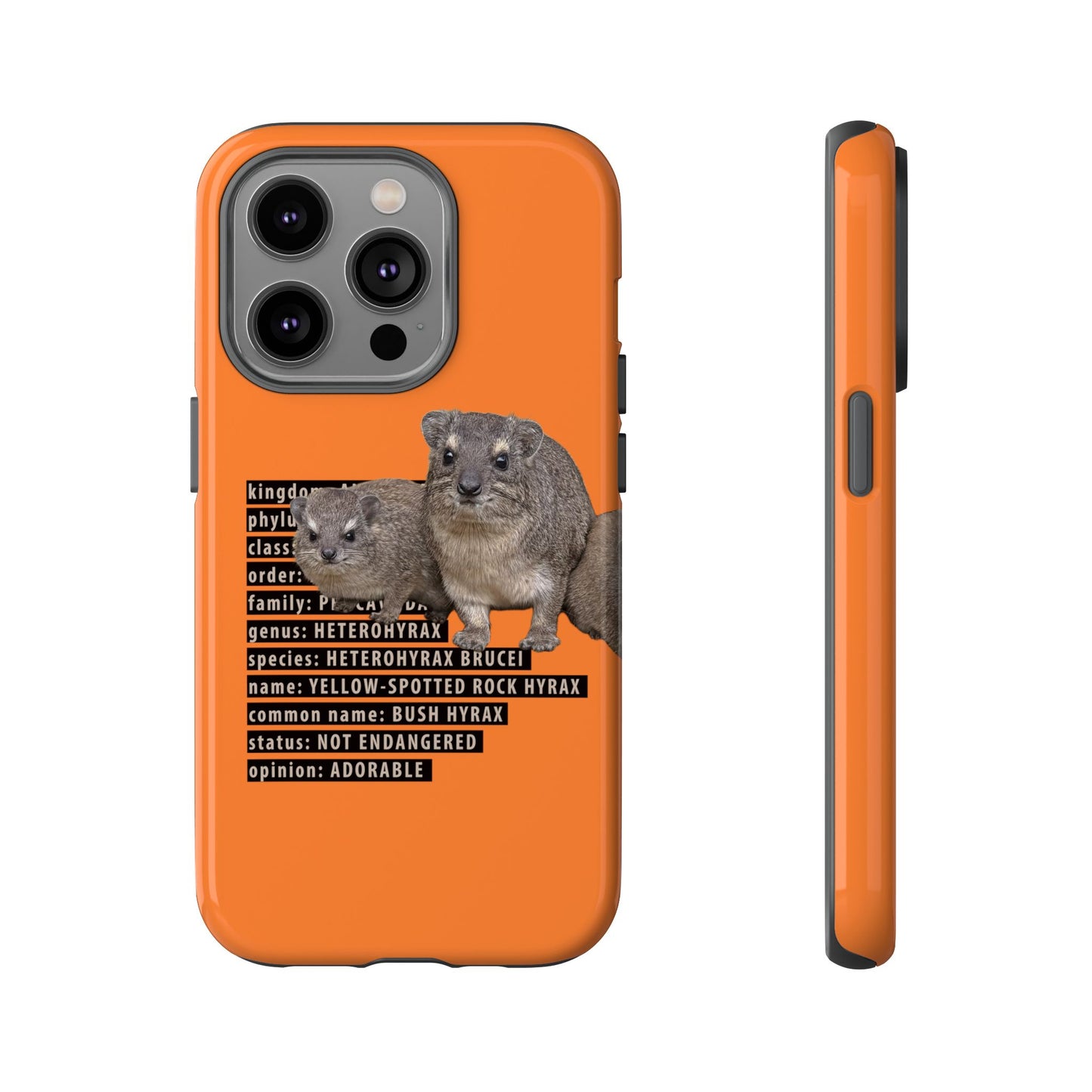 Hyrax Taxonomic Hierarchy Phone Case