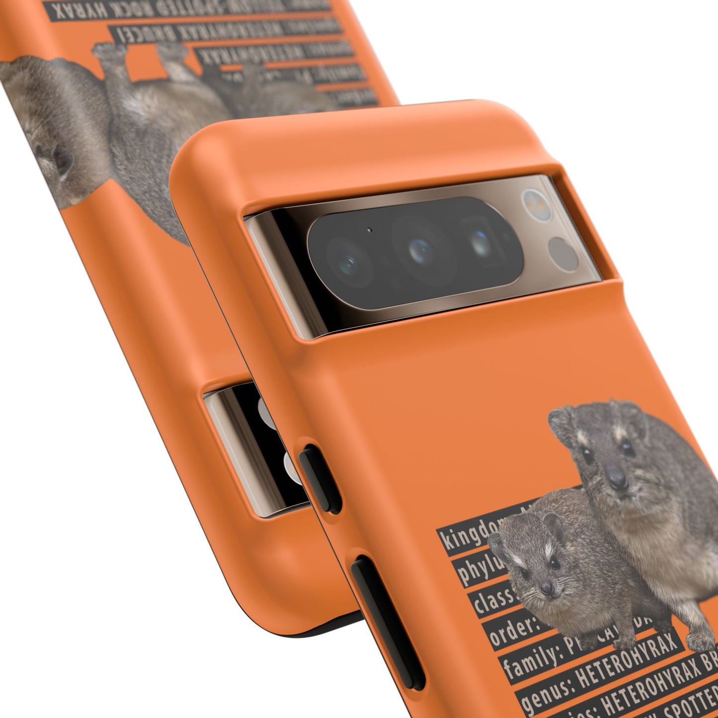 Hyrax Taxonomic Hierarchy Phone Case