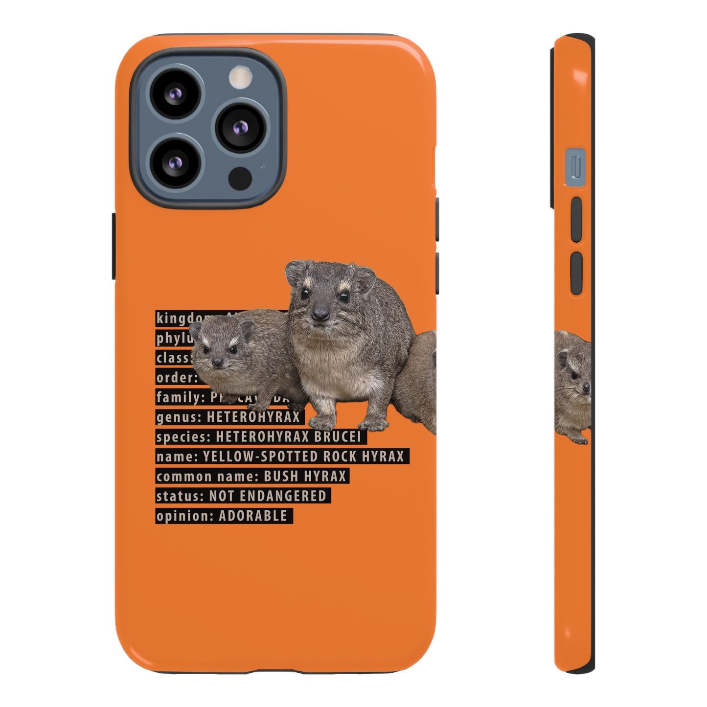 Hyrax Taxonomic Hierarchy Phone Case