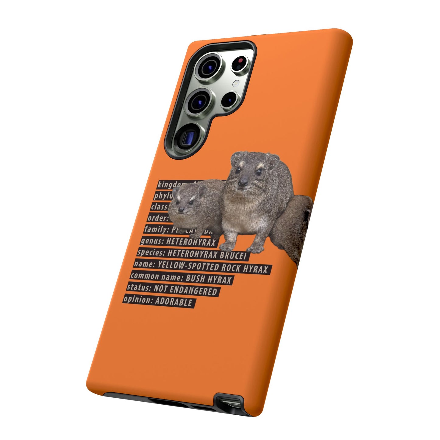 Hyrax Taxonomic Hierarchy Phone Case