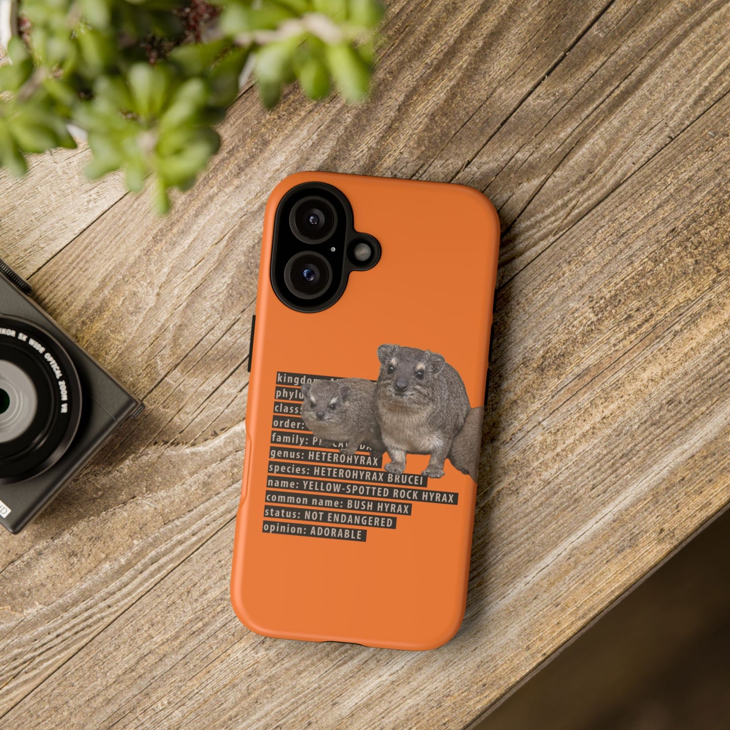 Hyrax Taxonomic Hierarchy Phone Case