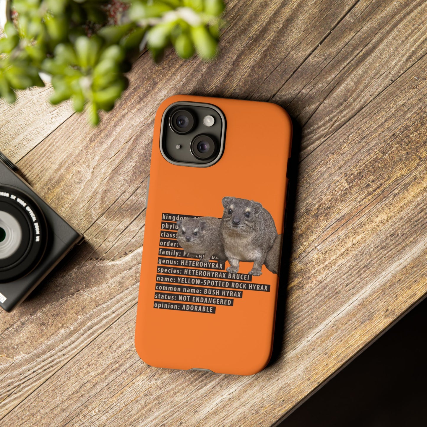 Hyrax Taxonomic Hierarchy Phone Case