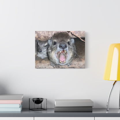 Hyrax Scream Print Wall Art, Matte Canvas Photo, Awawa Extreme, Unique Home Decor, Nature Lover Gift with animal photography, Wall Art for Animal Enthusiasts, Perfect for [...]