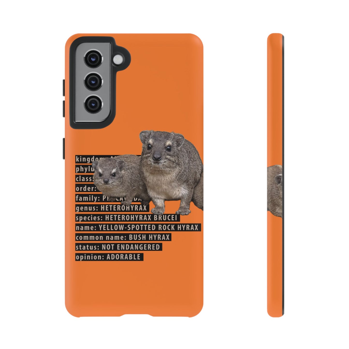 Hyrax Taxonomic Hierarchy Phone Cases