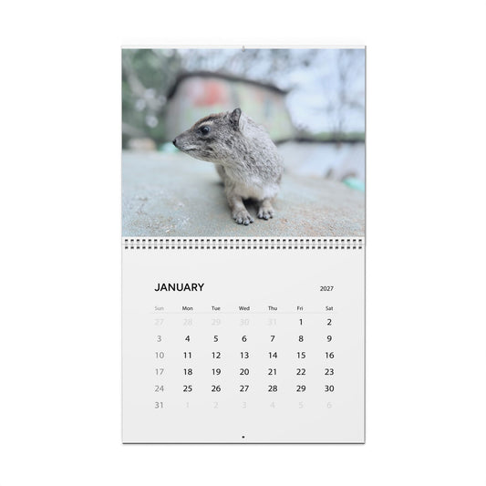 2027 Premium Wall Calendar – Adorable Hyrax Wildlife Photography