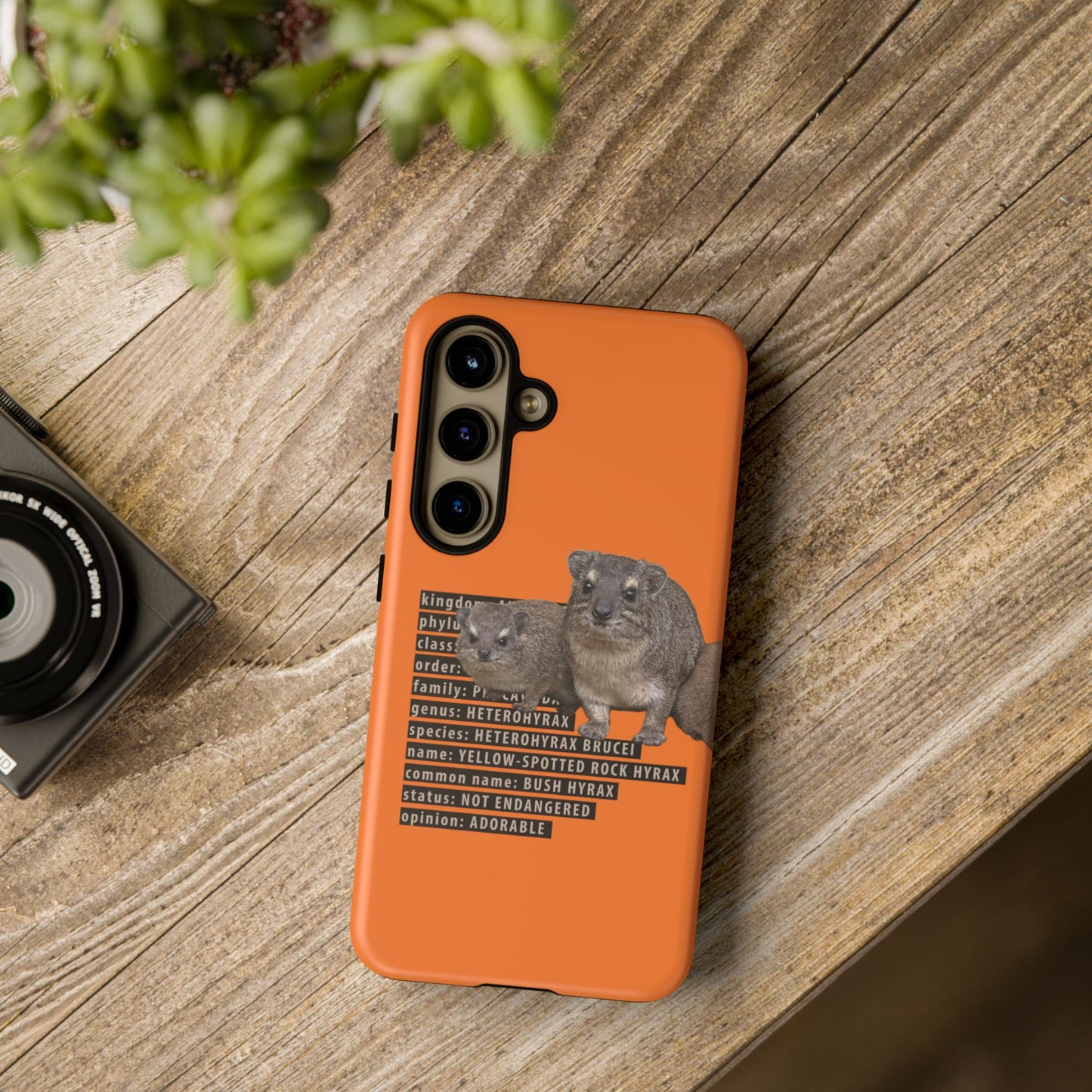Hyrax Taxonomic Hierarchy Phone Case
