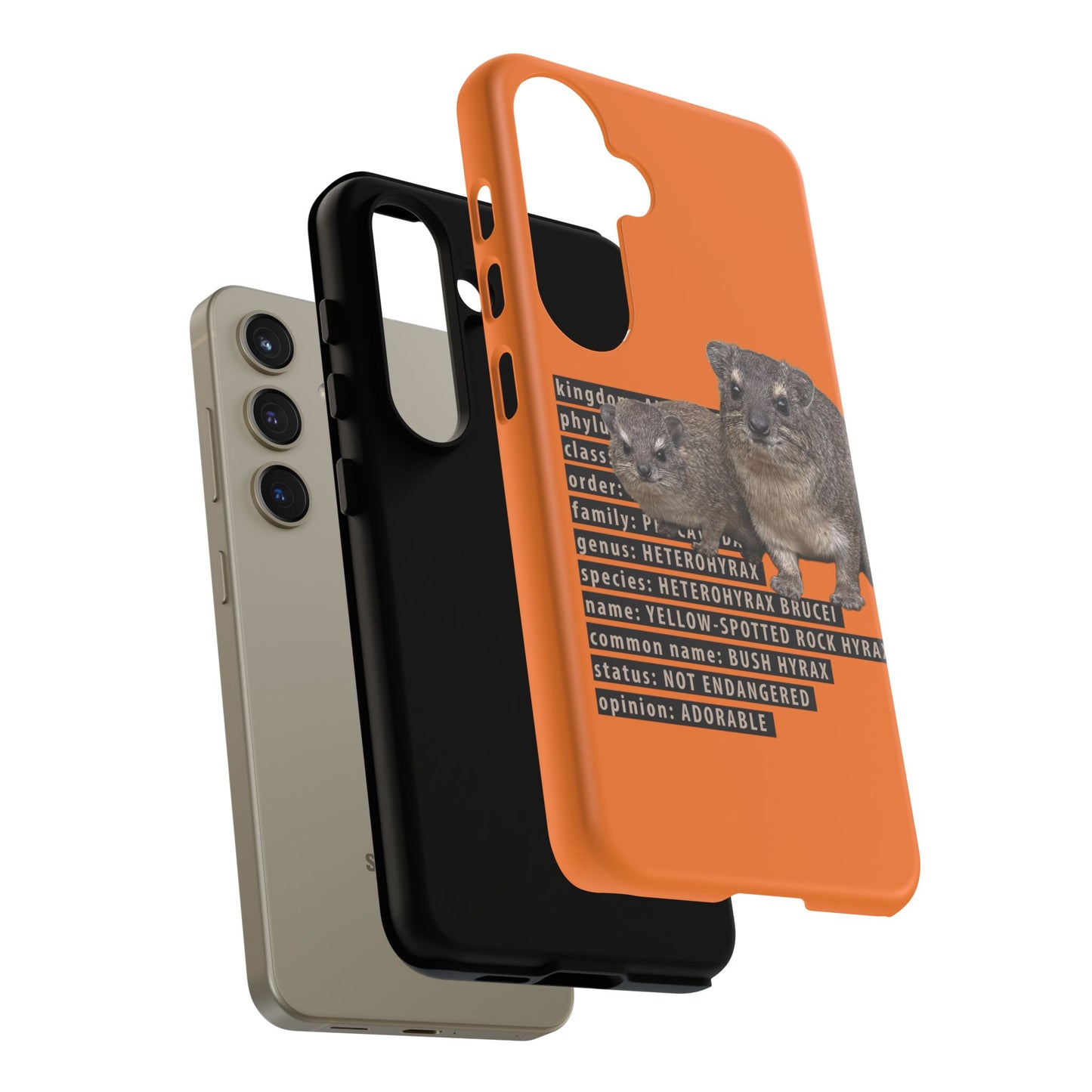 Hyrax Taxonomic Hierarchy Phone Cases