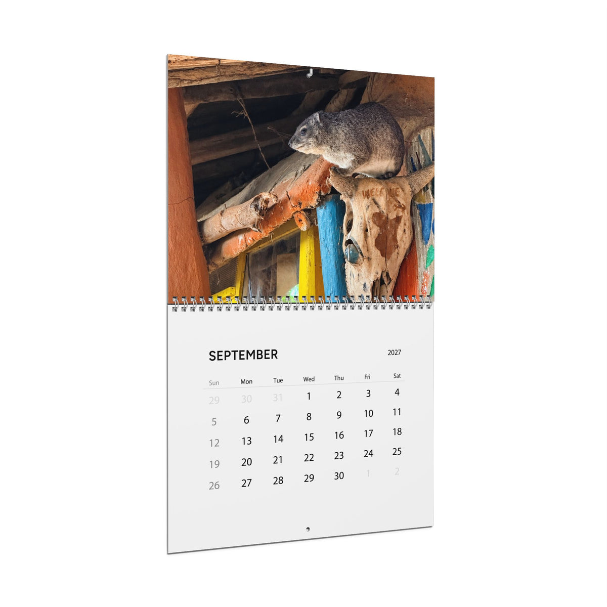 2027 Premium Wall Calendar – Adorable Hyrax Wildlife Photography