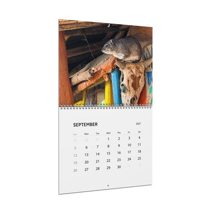 2027 Premium Wall Calendar – Adorable Hyrax Wildlife Photography