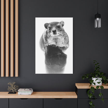 Hyrax Original Photo Black & White Matte Canvas Print - Stretched Wall Art