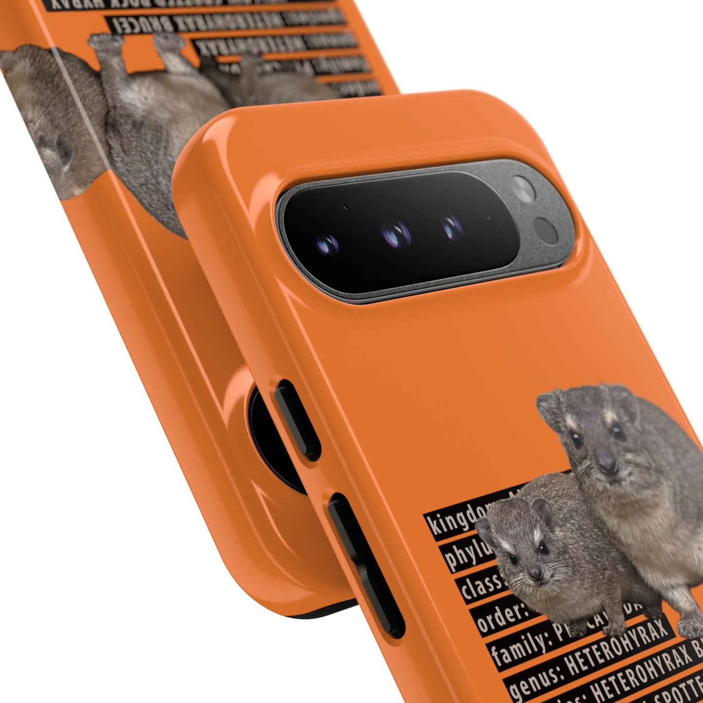 Hyrax Taxonomic Hierarchy Phone Case
