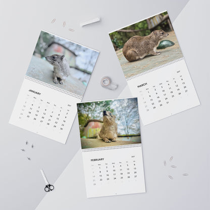 2027 Premium Wall Calendar – Adorable Hyrax Wildlife Photography