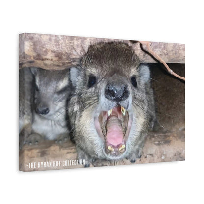 Hyrax Scream Print Wall Art, Matte Canvas Photo, Awawa Extreme, Unique Home Decor, Nature Lover Gift with animal photography, Wall Art for Animal Enthusiasts, Perfect for [...]