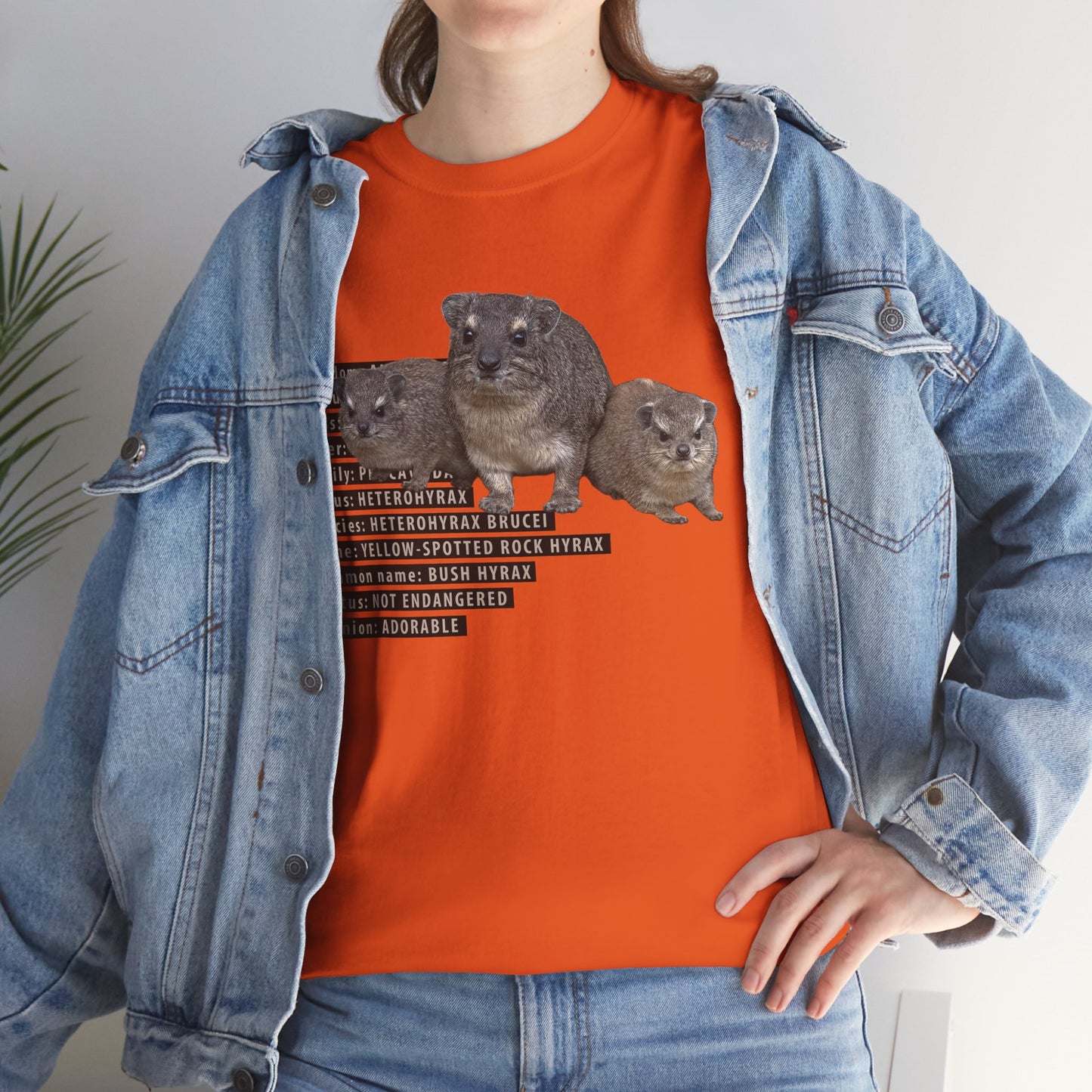 Hyrax Taxonomic Hierarchy  Unisex Heavy Cotton Tee  For The Distinguished Awawa Lover