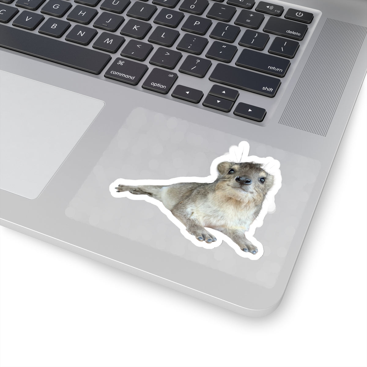 "Slick" The Hyrax Sticker