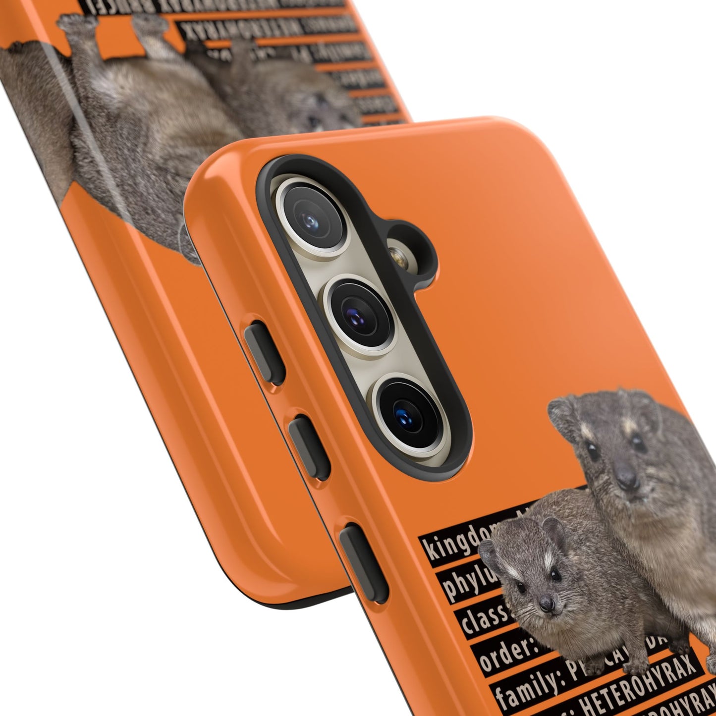 Hyrax Taxonomic Hierarchy Phone Cases