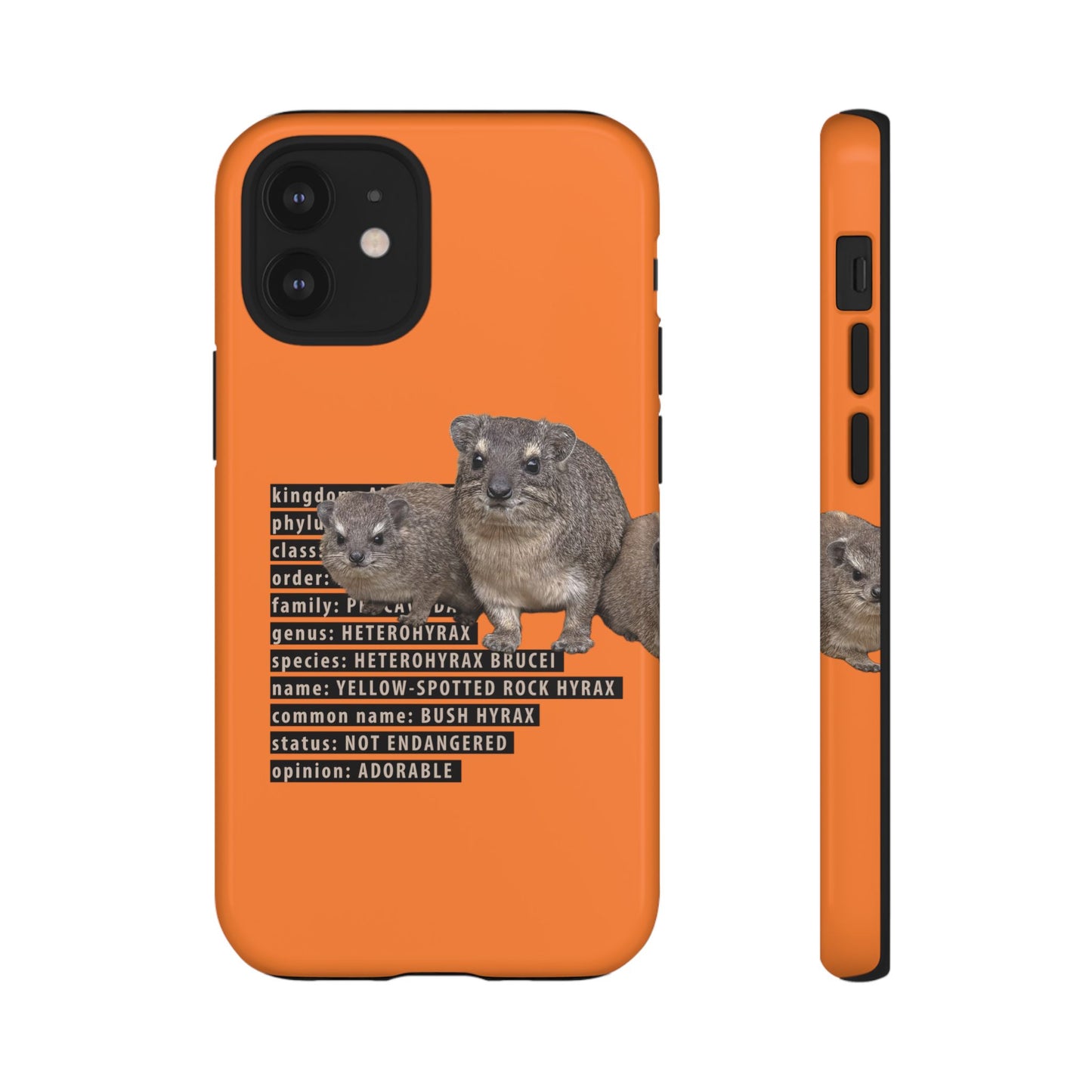 Hyrax Taxonomic Hierarchy Phone Case