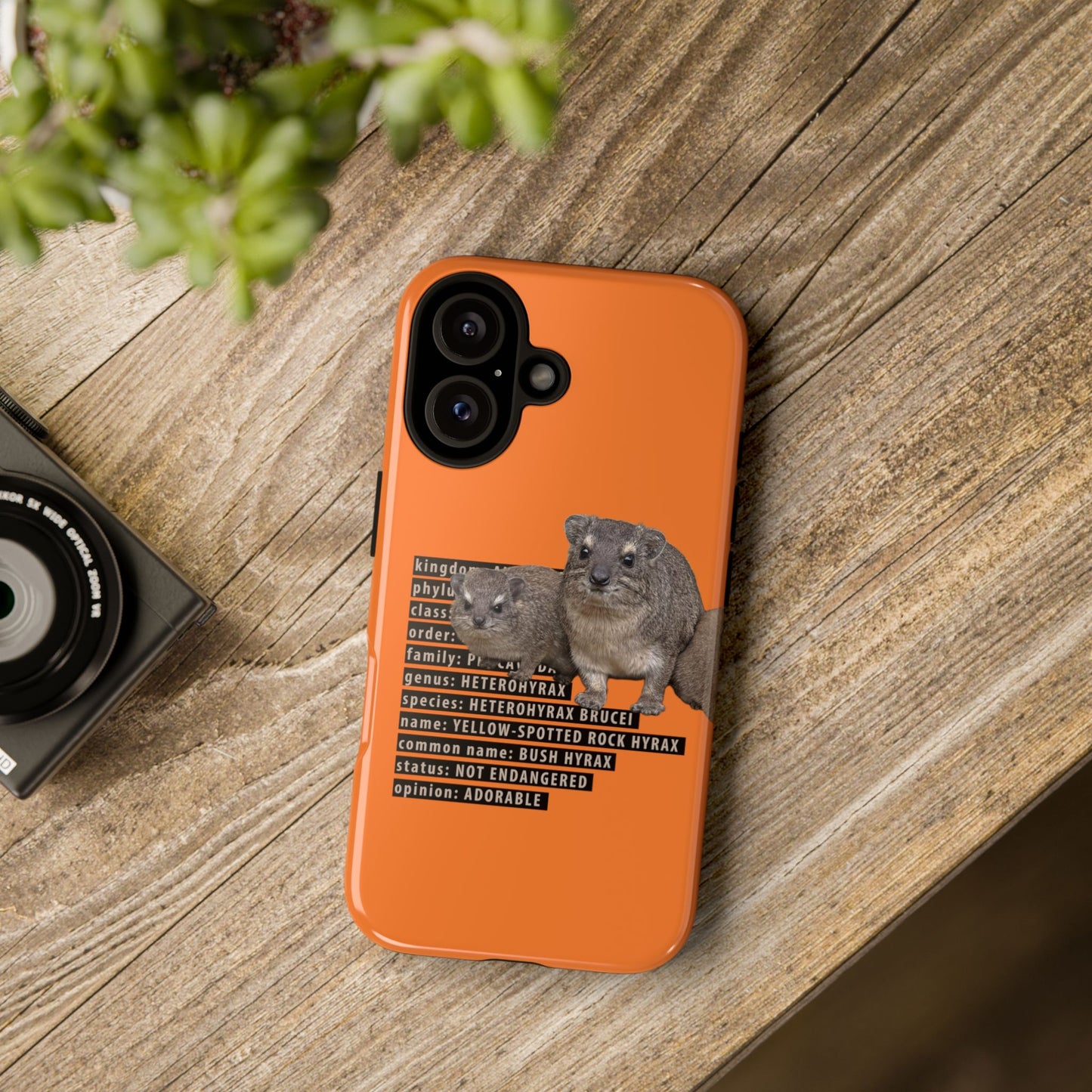 Hyrax Taxonomic Hierarchy Phone Case