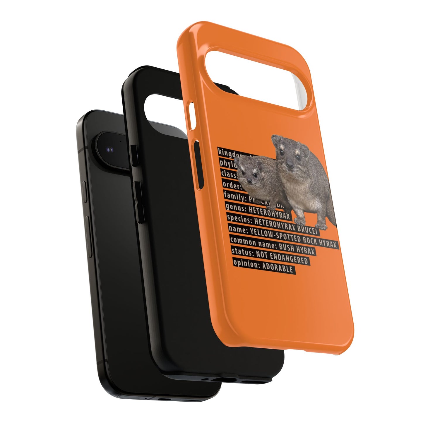 Hyrax Taxonomic Hierarchy Phone Case