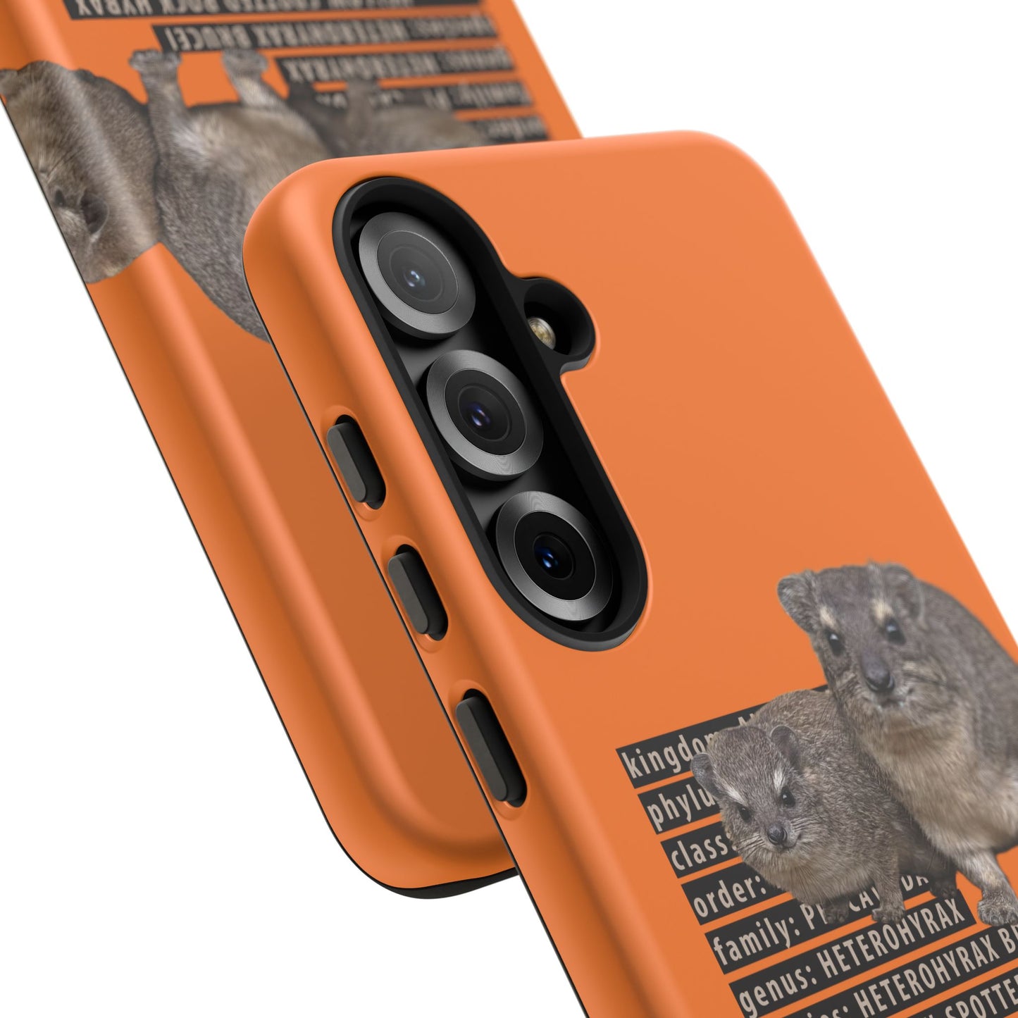 Hyrax Taxonomic Hierarchy Phone Case
