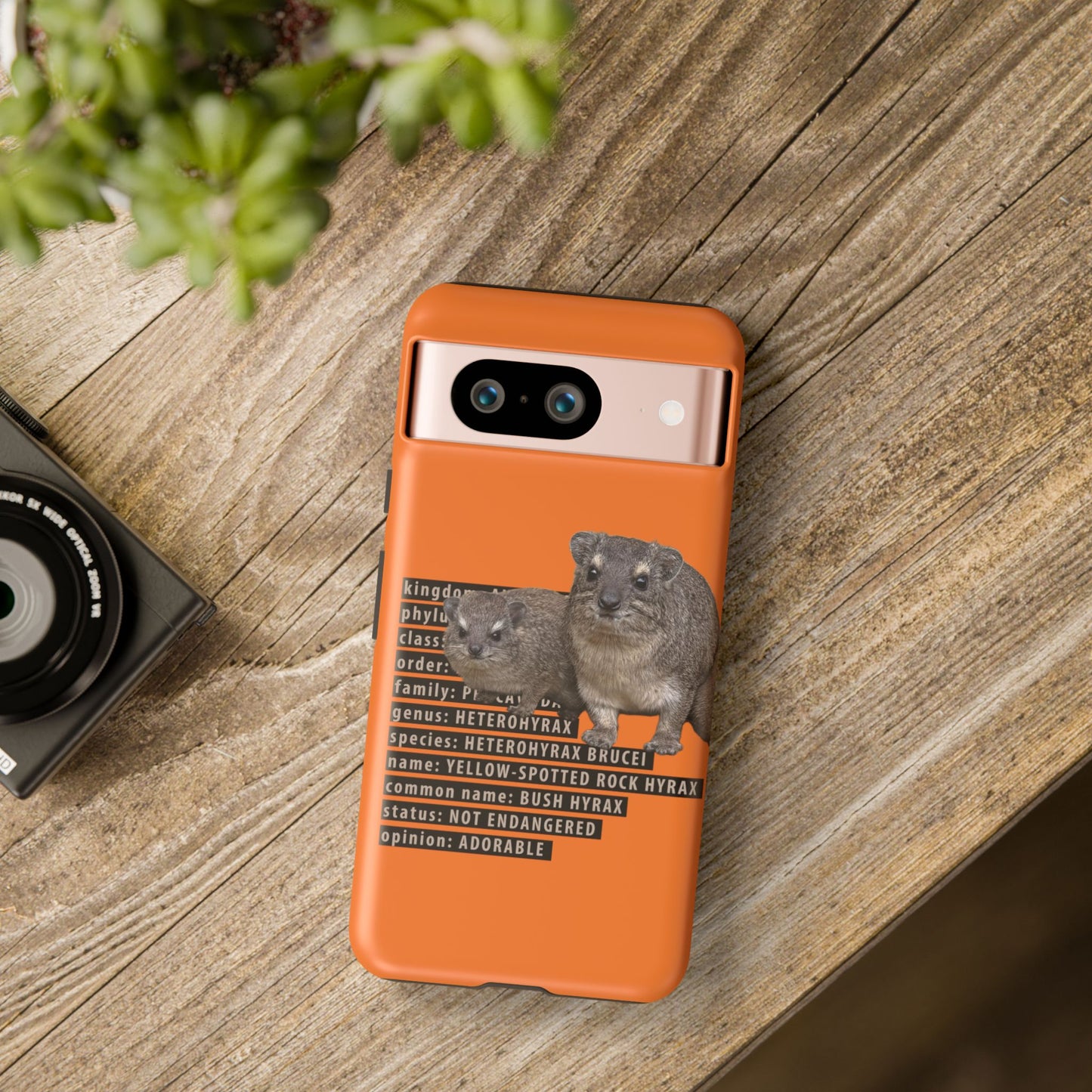 Hyrax Taxonomic Hierarchy Phone Cases