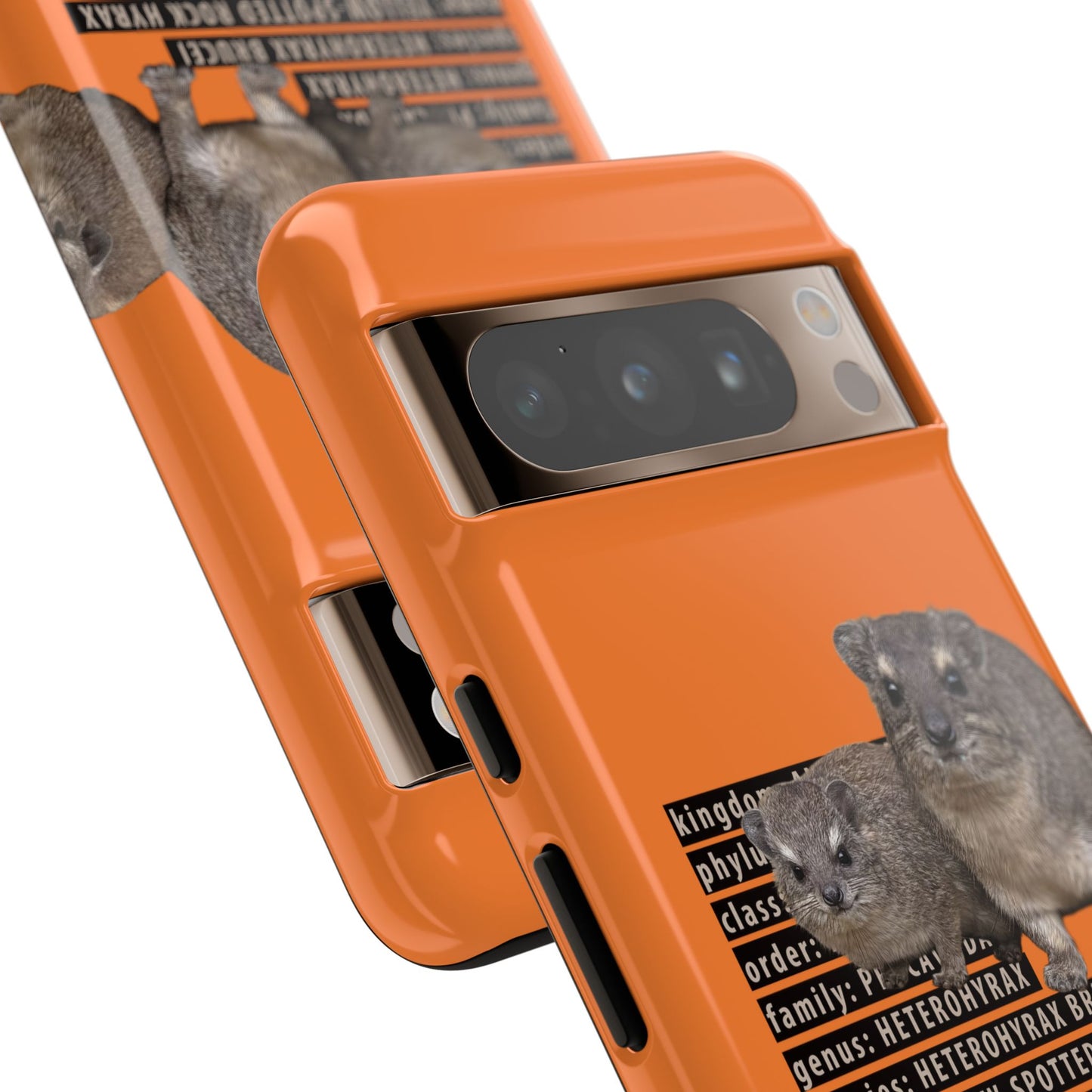Hyrax Taxonomic Hierarchy Phone Case