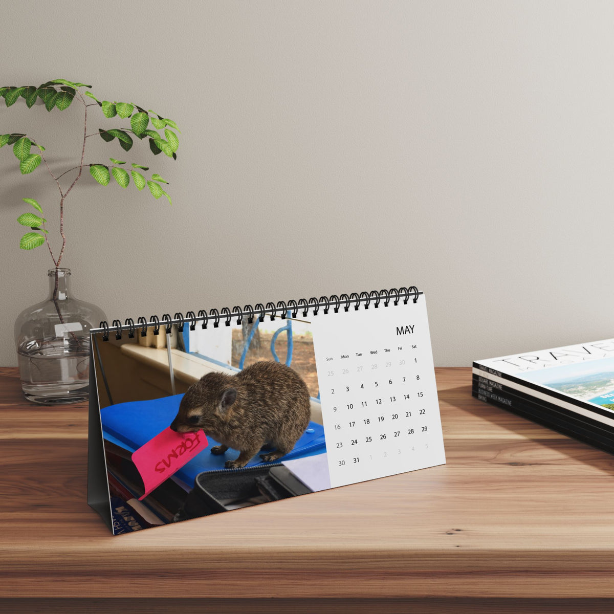 2027 Desktop Calendar - Cute Baby Hyrax Desk Grid Calendar