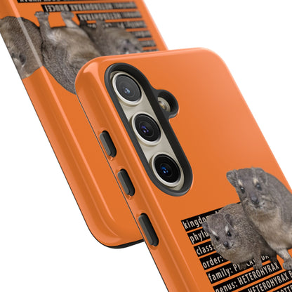 Hyrax Taxonomic Hierarchy Phone Case