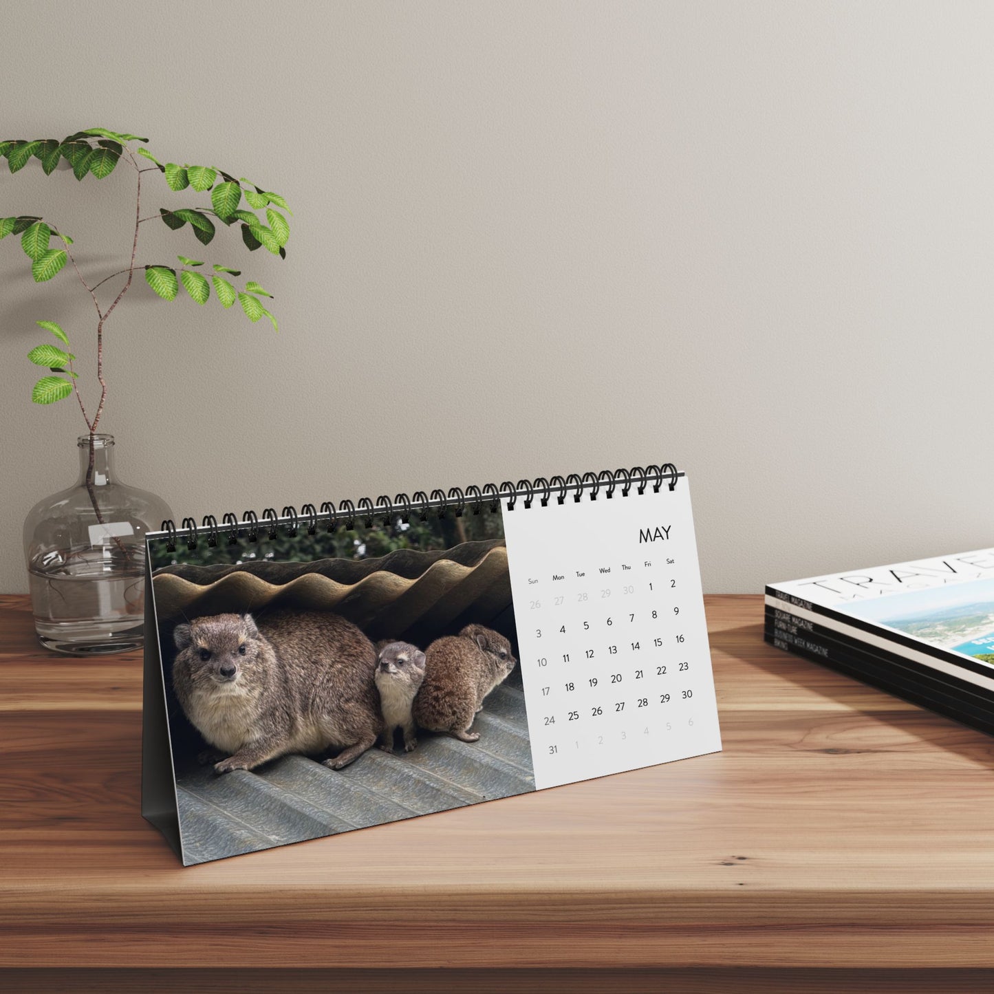 Baby Hyrax 2026 Desktop Calendar — Cute Wawa Photos
