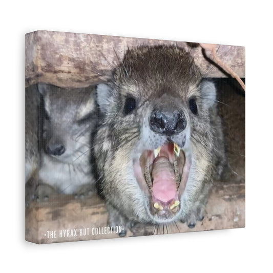 Hyrax Scream Print Wall Art, Matte Canvas Photo, Awawa Extreme, Unique Home Decor, Nature Lover Gift with animal photography, Wall Art for Animal Enthusiasts, Perfect for [...]