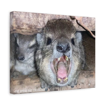 Hyrax Scream Print Wall Art, Matte Canvas Photo, Awawa Extreme, Unique Home Decor, Nature Lover Gift with animal photography, Wall Art for Animal Enthusiasts, Perfect for [...]