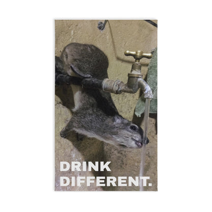 SQUIGGY Drinking Faucet Hand Towel – Cute Wildlife Photo Beach Vibe