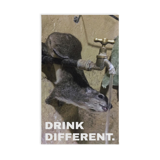 SQUIGGY Drinking Faucet Hand Towel – Cute Wildlife Photo Beach Vibe