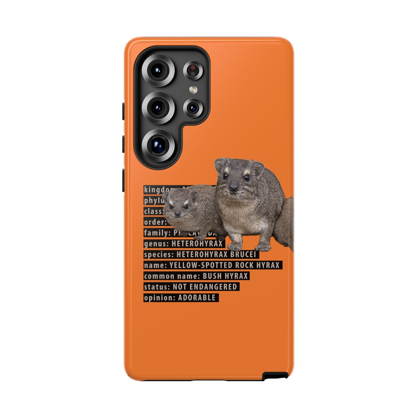 Hyrax Taxonomic Hierarchy Phone Case
