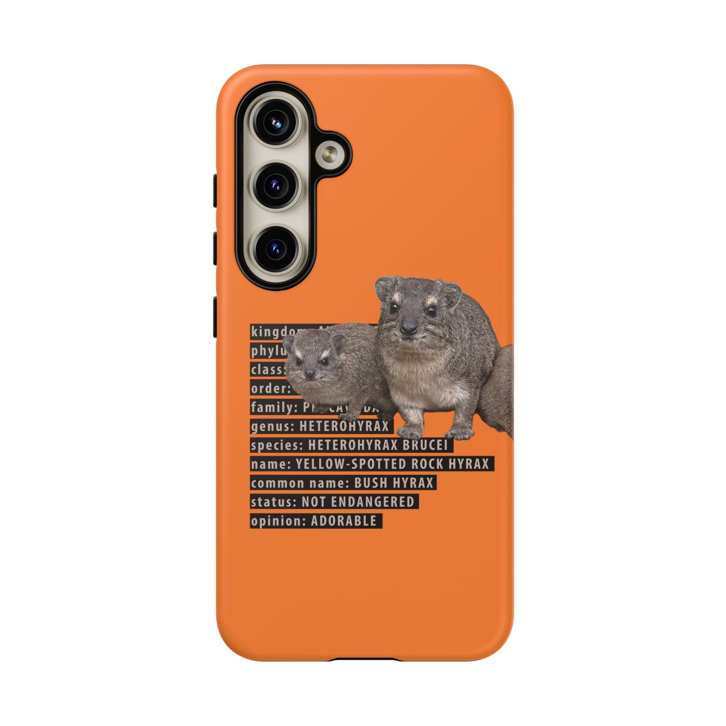 Hyrax Taxonomic Hierarchy Phone Case