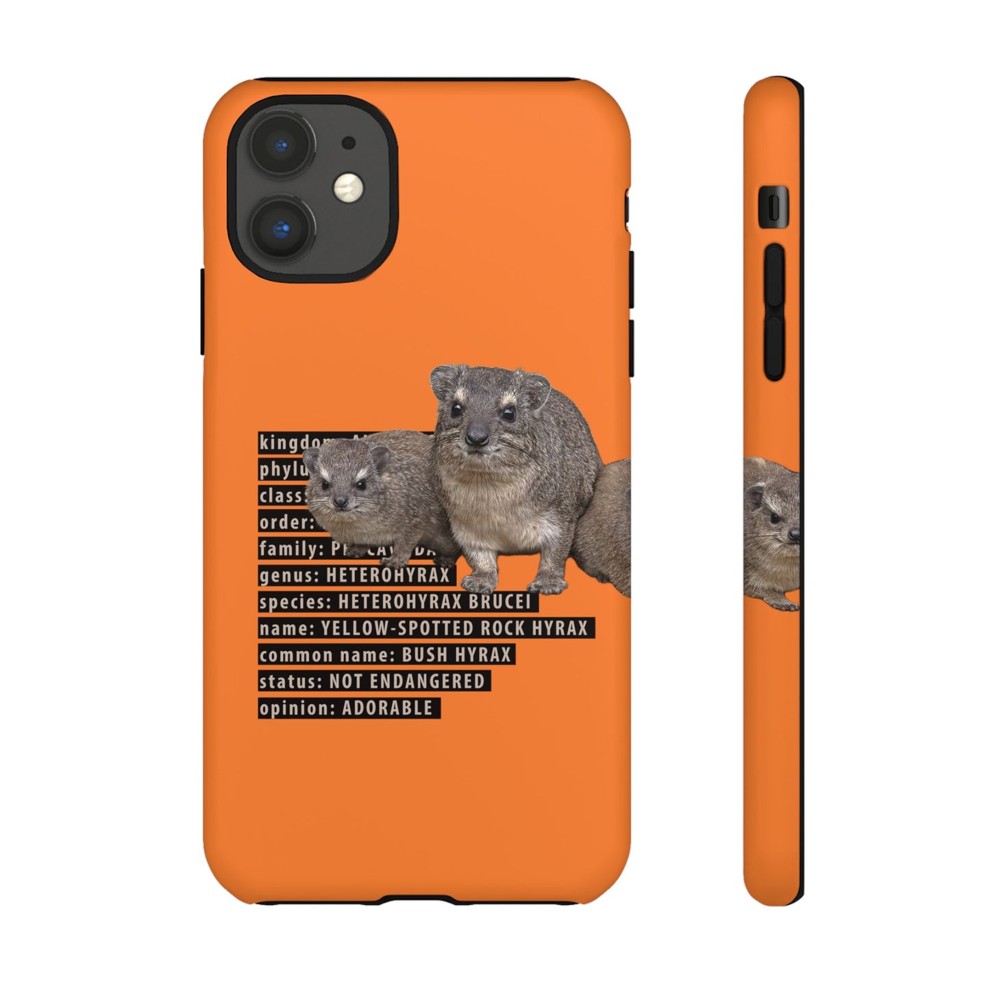Hyrax Taxonomic Hierarchy Phone Case