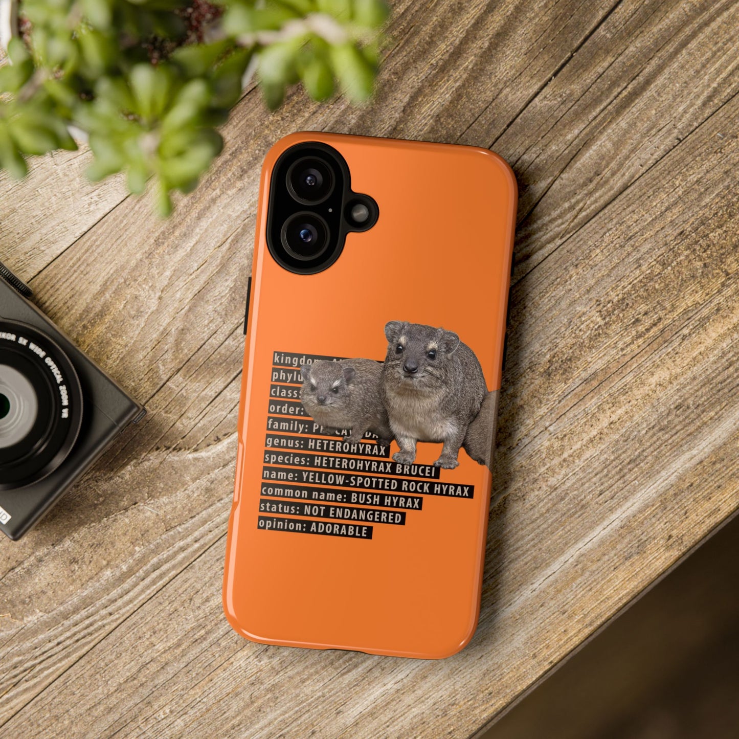 Hyrax Taxonomic Hierarchy Phone Case