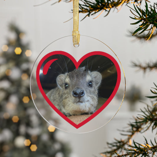 Ornament - Hyrax Inside Red Heart Acrylic