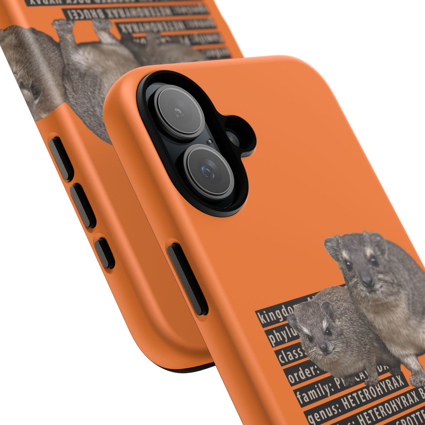 Hyrax Taxonomic Hierarchy Phone Case