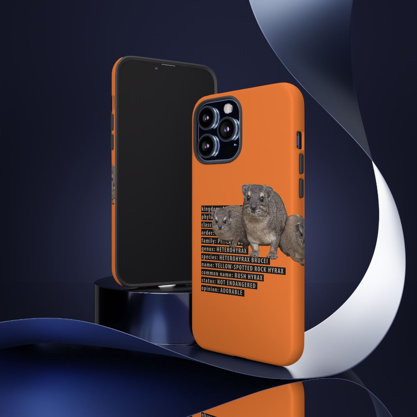 Hyrax Taxonomic Hierarchy Phone Case