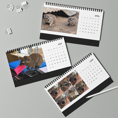 2027 Desktop Calendar - Cute Baby Hyrax Desk Grid Calendar