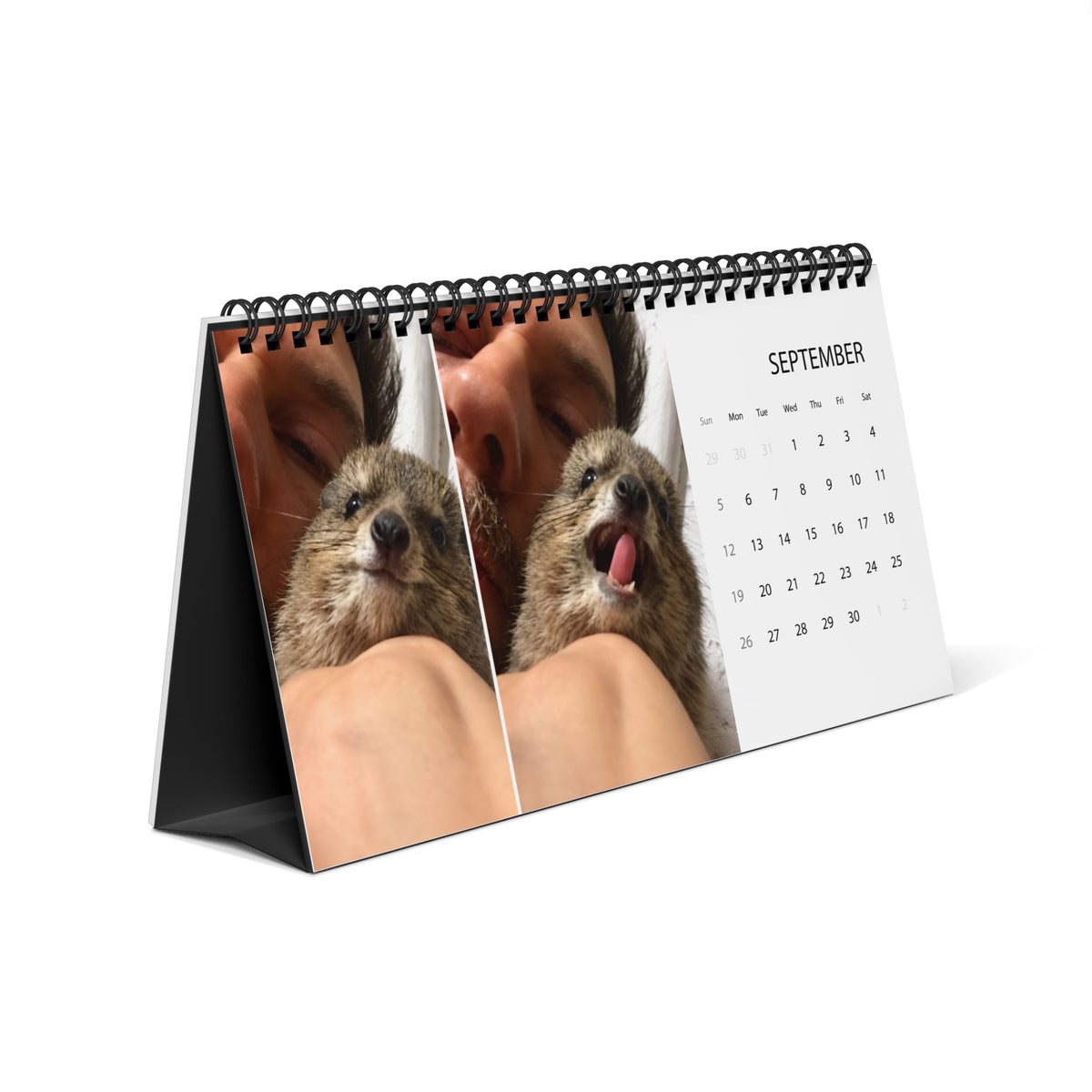 2027 Desktop Calendar - Cute Baby Hyrax Desk Grid Calendar