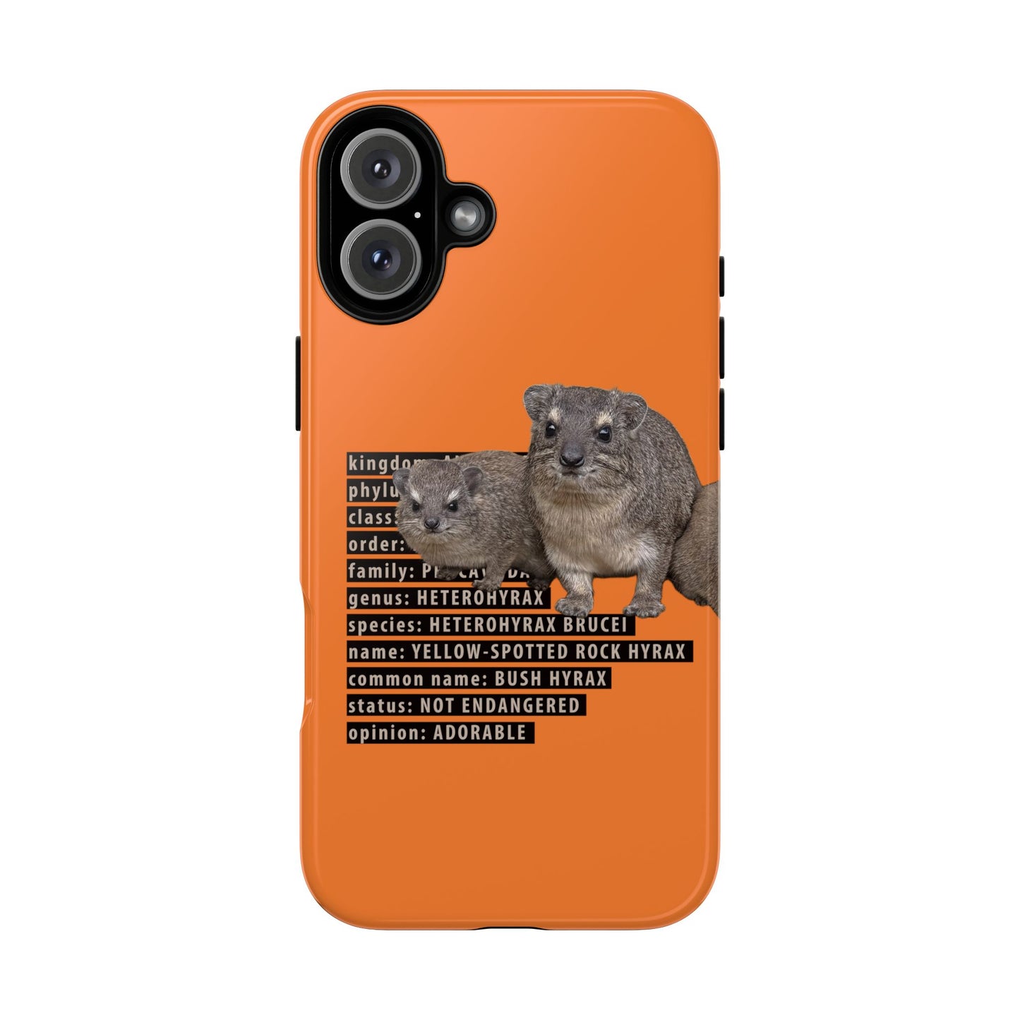 Hyrax Taxonomic Hierarchy Phone Case